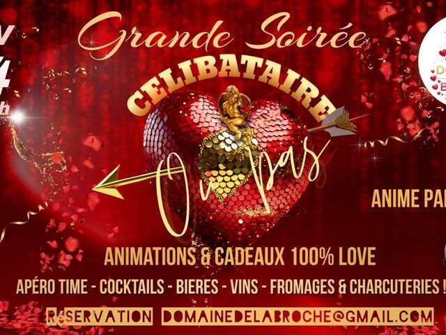 Grande soirée célibataire