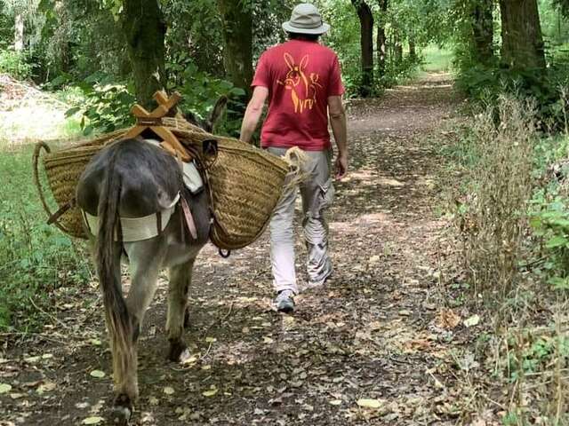 Balade découverte de l'âne