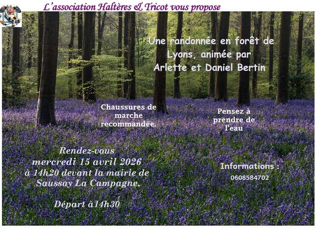 Randonnée en forêt de Lyons