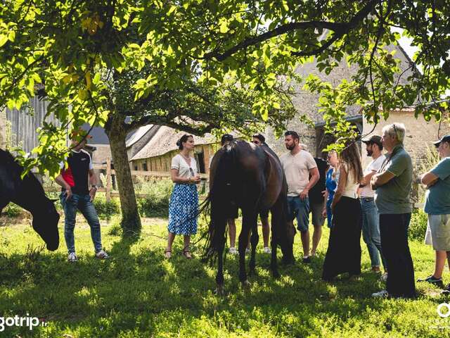 Les Ateliers du Mont Viné
