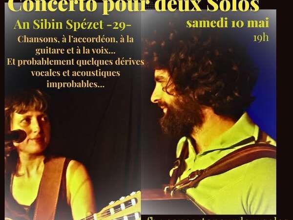 Concerto pour deux solos