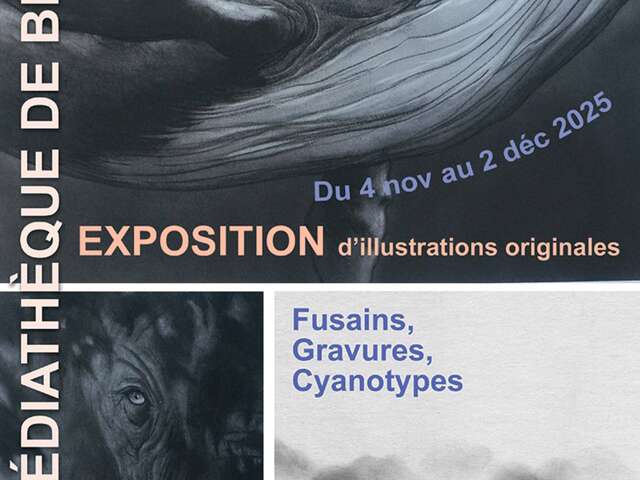 Exposition de Christelle Le Guen à la Médiathèque de Berrien.