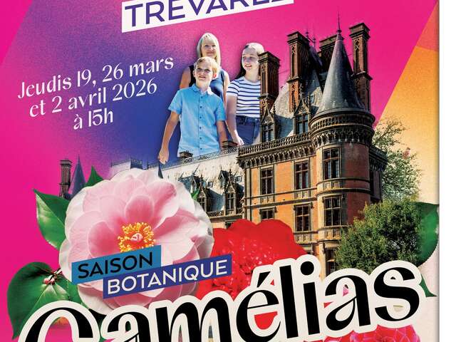 Les jeudis camélias