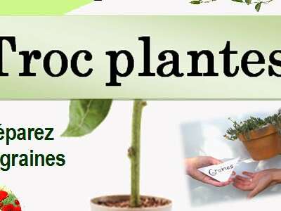 Troc de plantes et repas ragoût