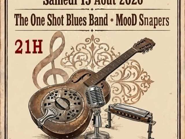 Concert rock & blues