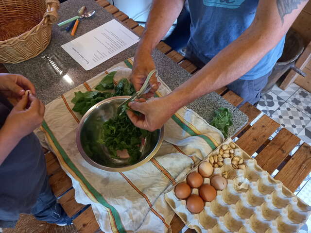 Atelier Cueillette et cuisine des plantes sauvages