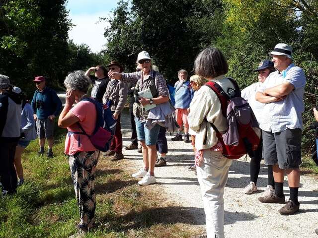 Balade nature en breton avec Lulu