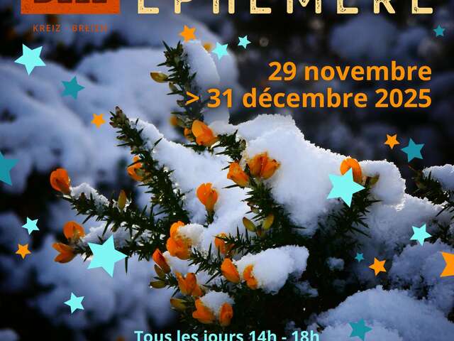 Cicindèle fête Noël - Boutique éphémère