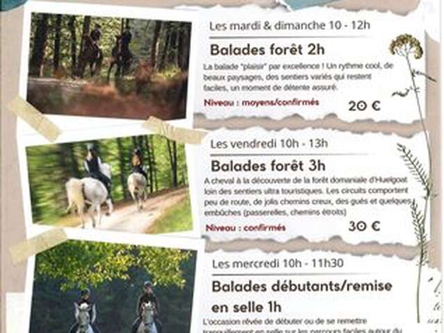Balades équestres avec Les Chevaux d'Arcand