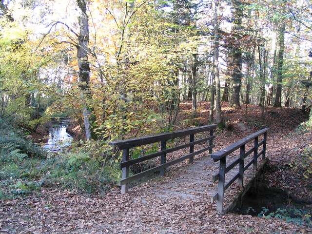 Bretagne Romantique : Circuit Chateaubriand n° 15