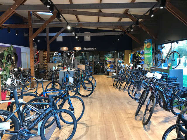 Cycles Manu Scotet - Giant Pont-L'Abbé