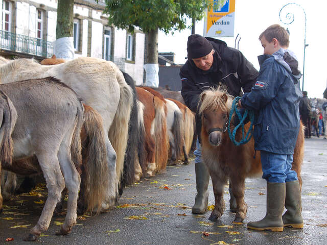 La Foire aux chevaux à l'ancienne