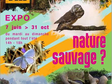 Exposition Nature sauvage... ?