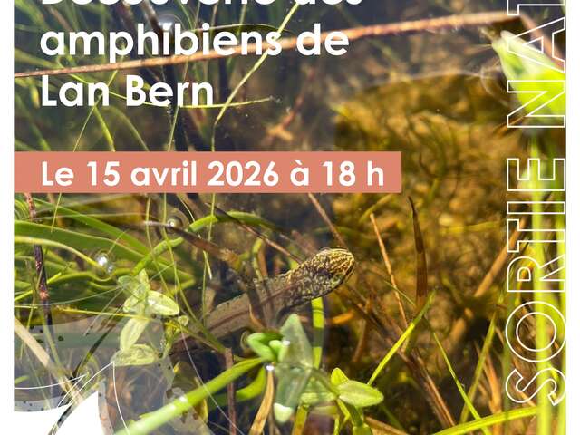A la découverte des amphibiens de Lan Bern