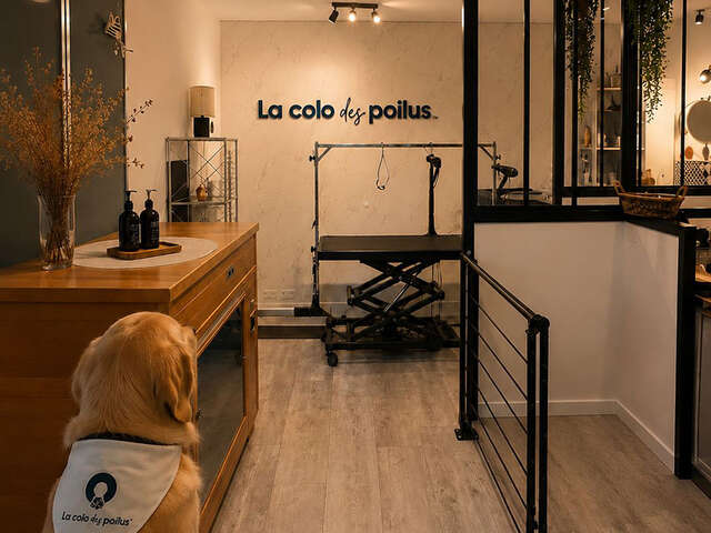 La Colo des Poilus