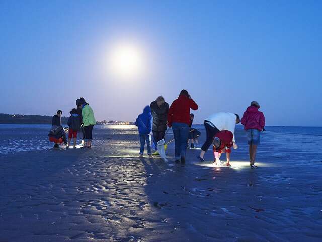 Sortie nature nocturne : grande marée