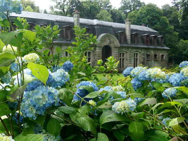 Saison botanique #3 ; Les Hortensias, une collection majeure