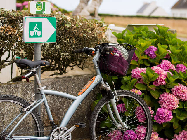 Location de vélos - Les enfants de la côte