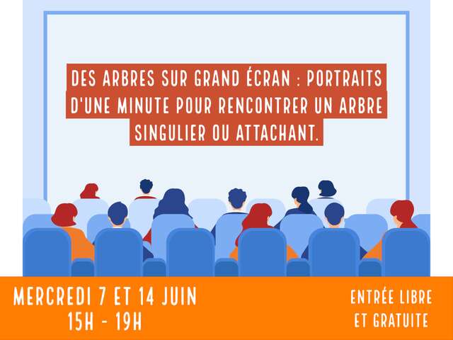 Des arbres sur grand écran