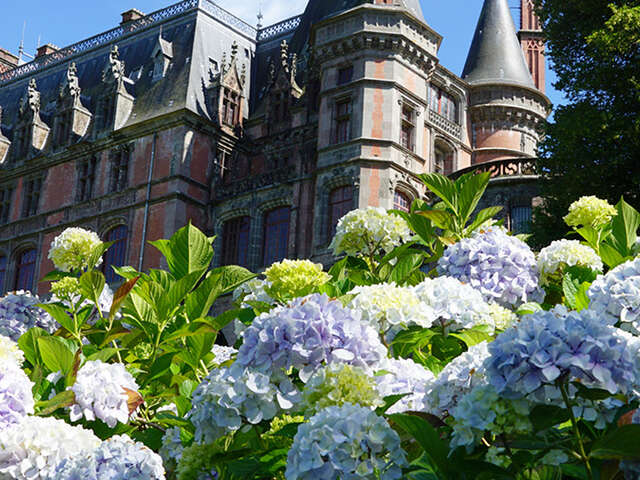 Les hortensias, une collection majeure.
