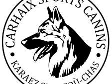 Concours canin