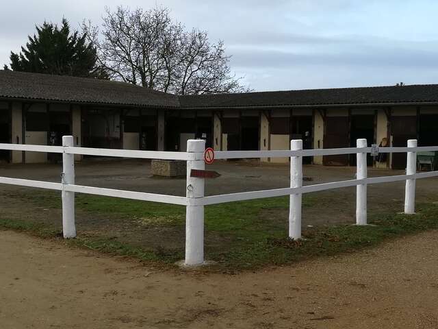 Club hippique du Loudunais / Ecurie Steven Brunet
