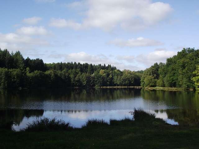 Etang Fédéral du Donzeil