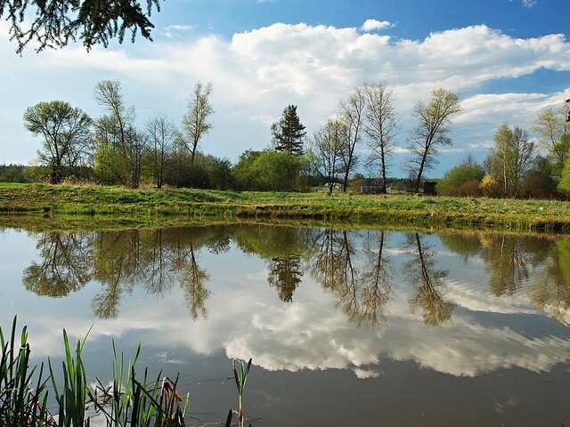 Plan d'Eau de la Brousse