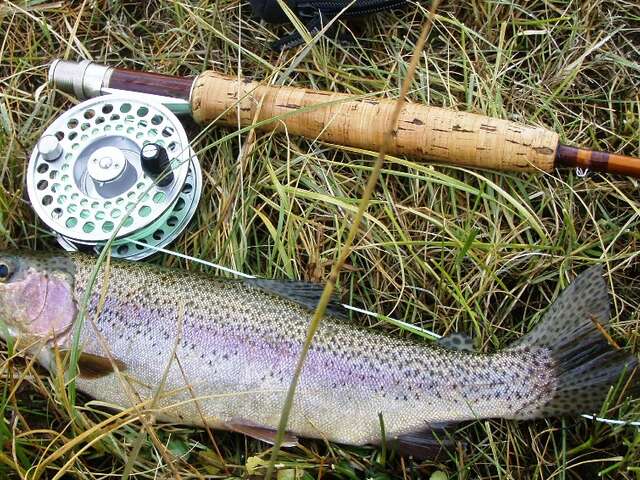 Concours de pêche