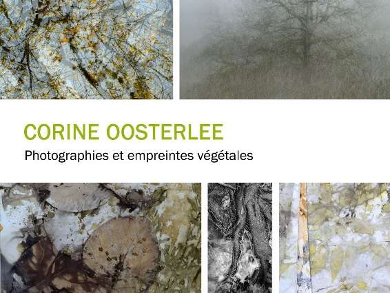 Exposition : Photographie par Corine Oosterlee