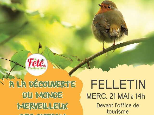 Fête de l'écotourisme :  Rando nature "A la découverte du monde merveilleux des oiseaux".