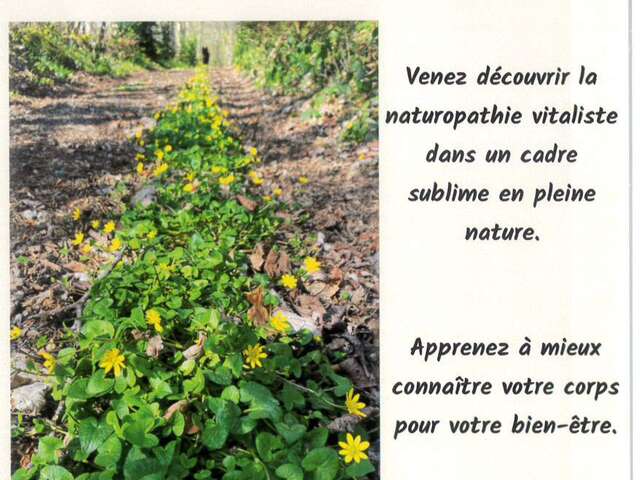 Les chemins hauts : séjours naturopathiques