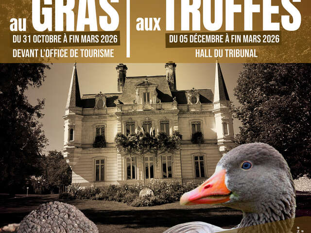 Marché au gras & aux truffes