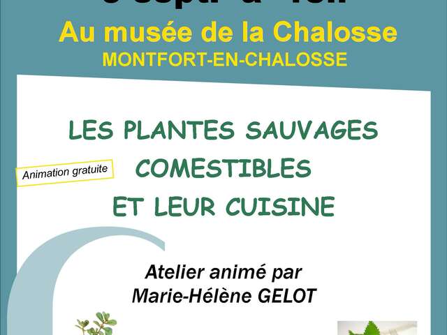 Les plantes sauvages comestibles et leur cuisine