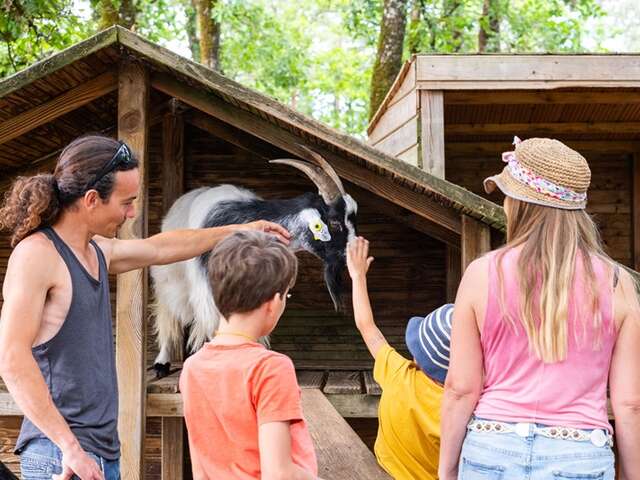 Les vacances d'été au Thot