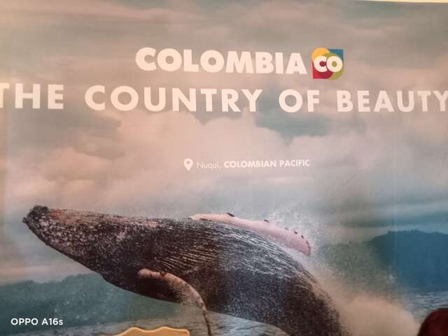 FESTIVAL DE CINÉMA FECRECCAS