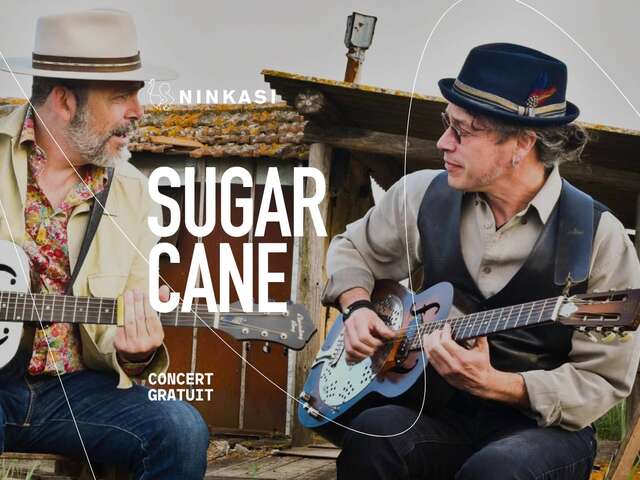 CONCERT SUGAR CANE