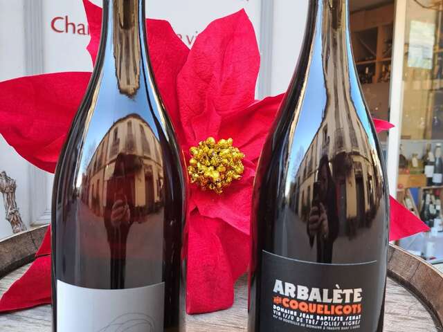 DÉGUSTATIONS CAVE DES ARCEAUX