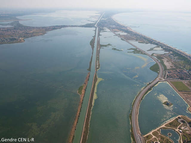 Etang de l'Arnel