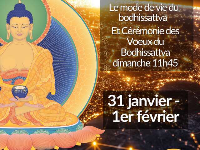 RELIÉ À UN RÉSEAU INFINI DE BONTÉ : LE VŒU DU BODHISATTVA