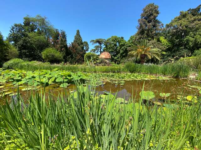 LE JARDIN DES PLANTES