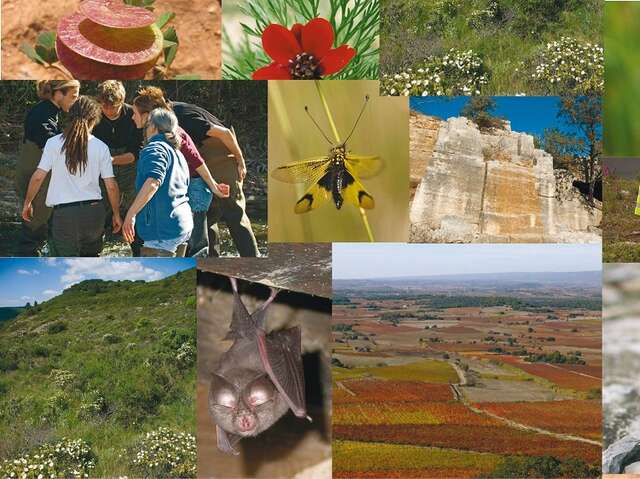 ECOLOGISTES DE L'EUZIERE