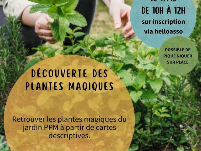 DÉCOUVERTE DES PLANTES MAGIQUES