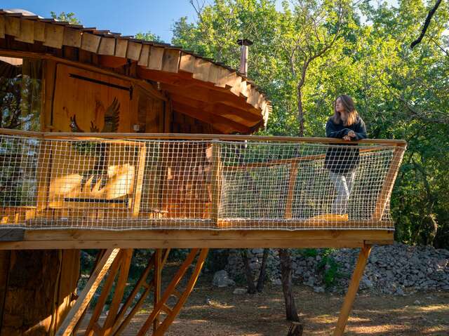 SOULEYOURT -"L'ENVOL DU PHÉNIX"