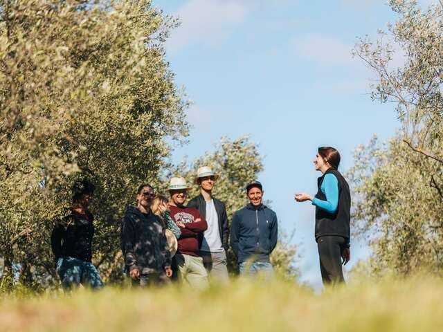 DOMAINE DE L'OULIVIE - VISITE GUIDÉE PÉDESTRE