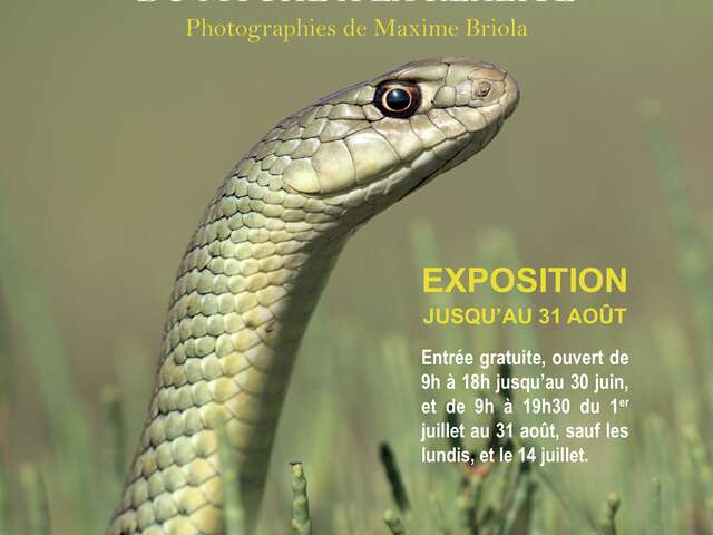 EXPOSITION PHOTOGRAPHIQUE - MAISON DE LA NATURE
