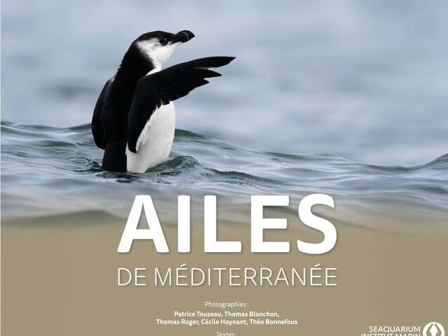 EXPOSITION "AILES DE MÉDITERRANÉE"