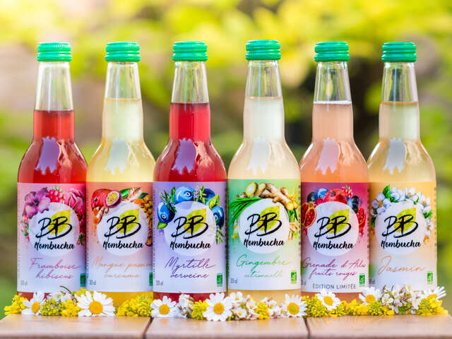 BB KOMBUCHA