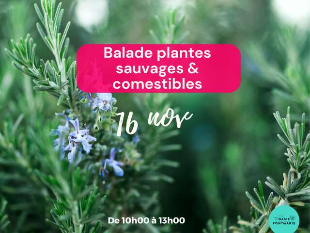 BALADE & ATELIER PLANTES SAUVAGES COMESTIBLES