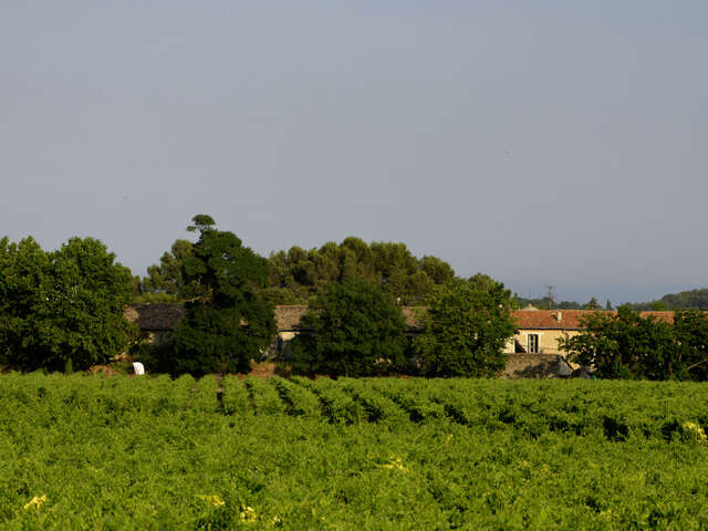 CHATEAU DE FOURQUES